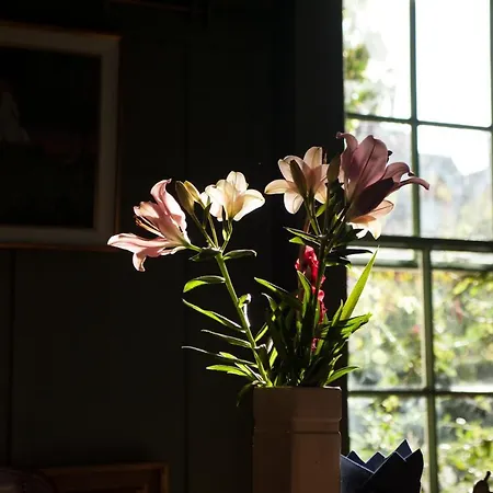 Guest house The Historical Harcourt Dublin