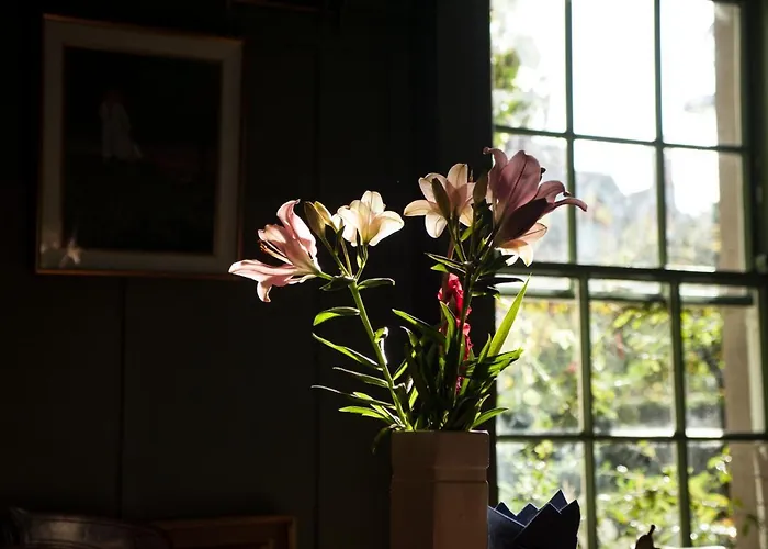 Guest house The Historical Harcourt Dublin