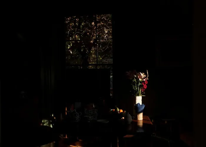 The Historical Harcourt Guest house Dublin