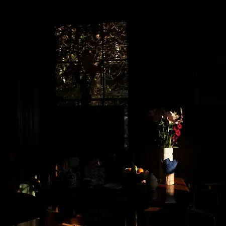 The Historical Harcourt Gasthuis Dublin